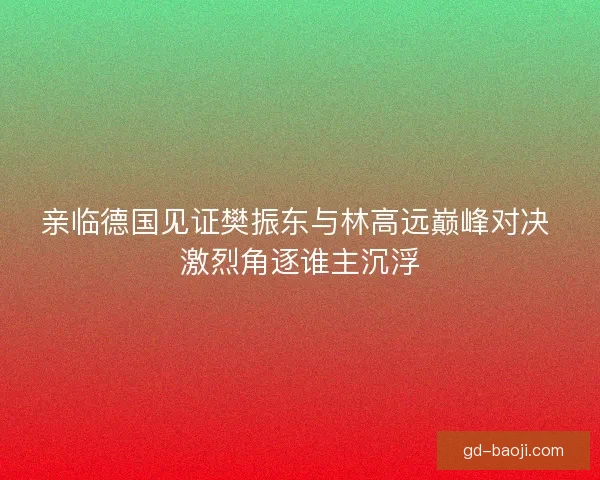 亲临德国见证樊振东与林高远巅峰对决 激烈角逐谁主沉浮