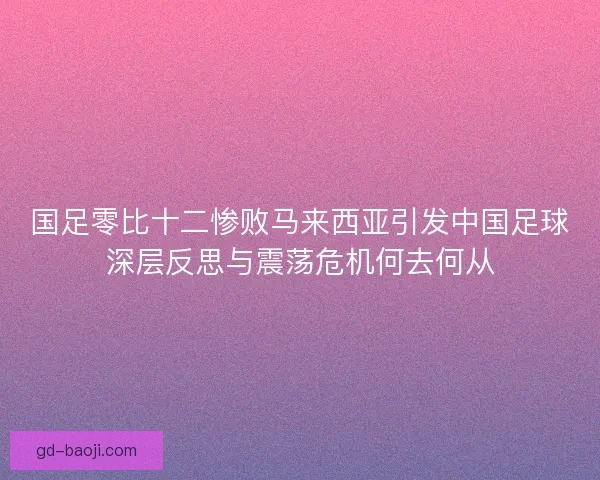 国足零比十二惨败马来西亚引发中国足球深层反思与震荡危机何去何从