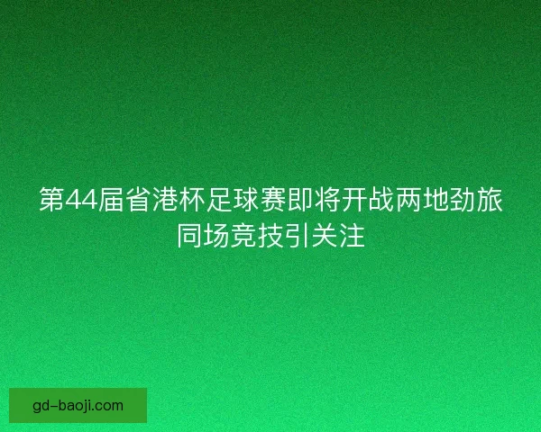 第44届省港杯足球赛即将开战两地劲旅同场竞技引关注