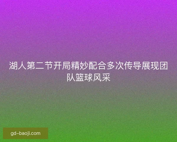 湖人第二节开局精妙配合多次传导展现团队篮球风采